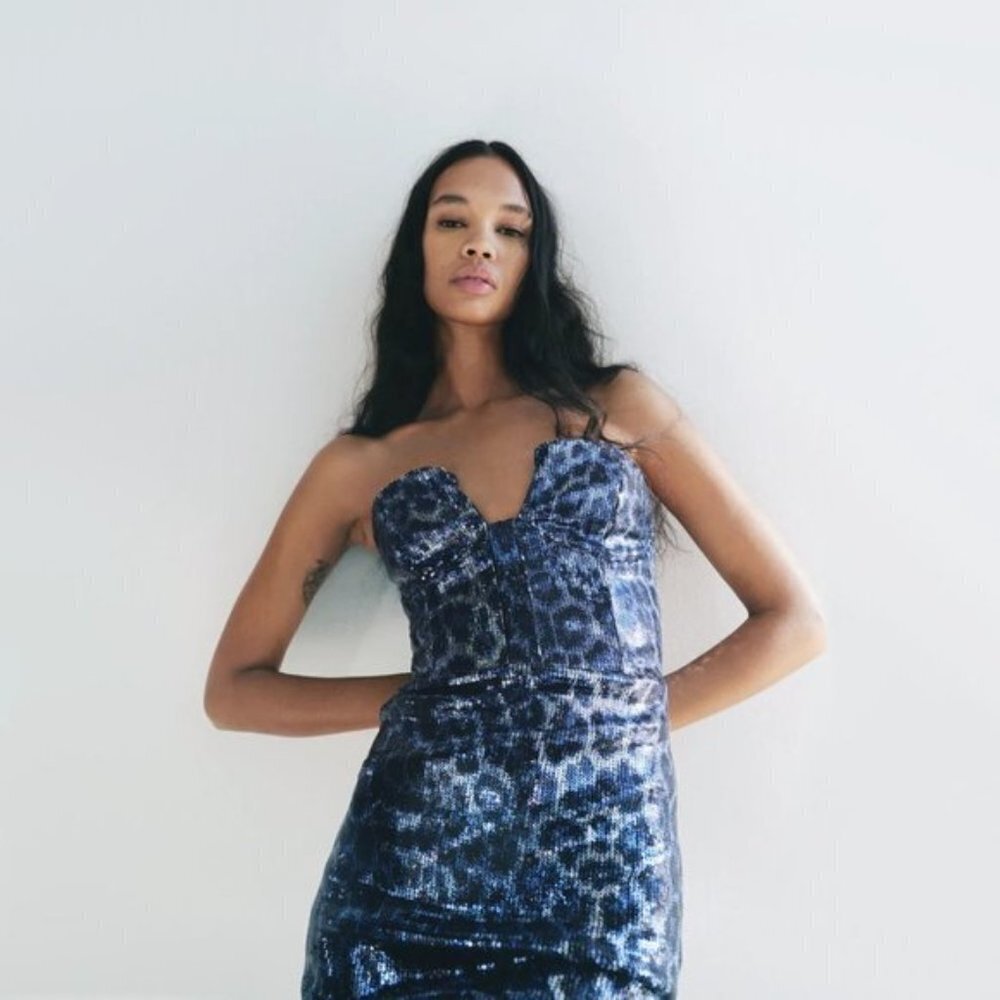 NWT Zara blue, silver & black sequin short mini corset style holiday dress, M